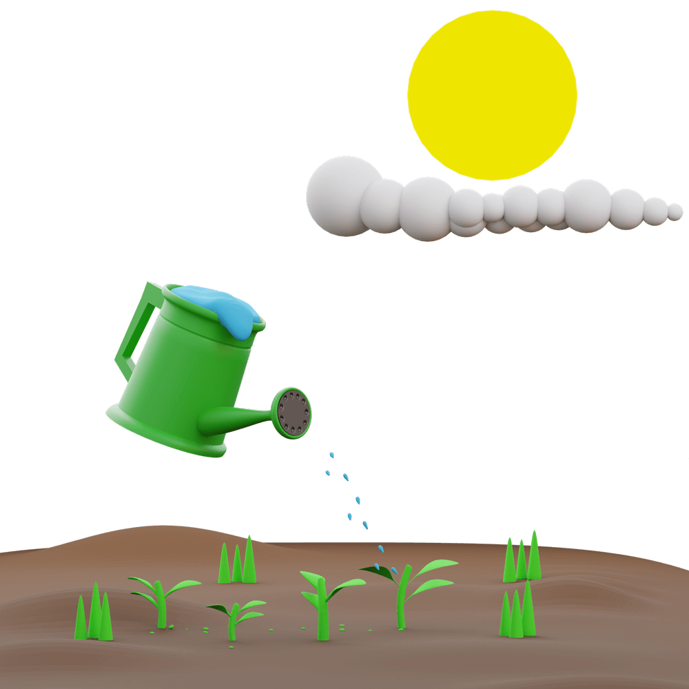 Watering-Seed-1-3